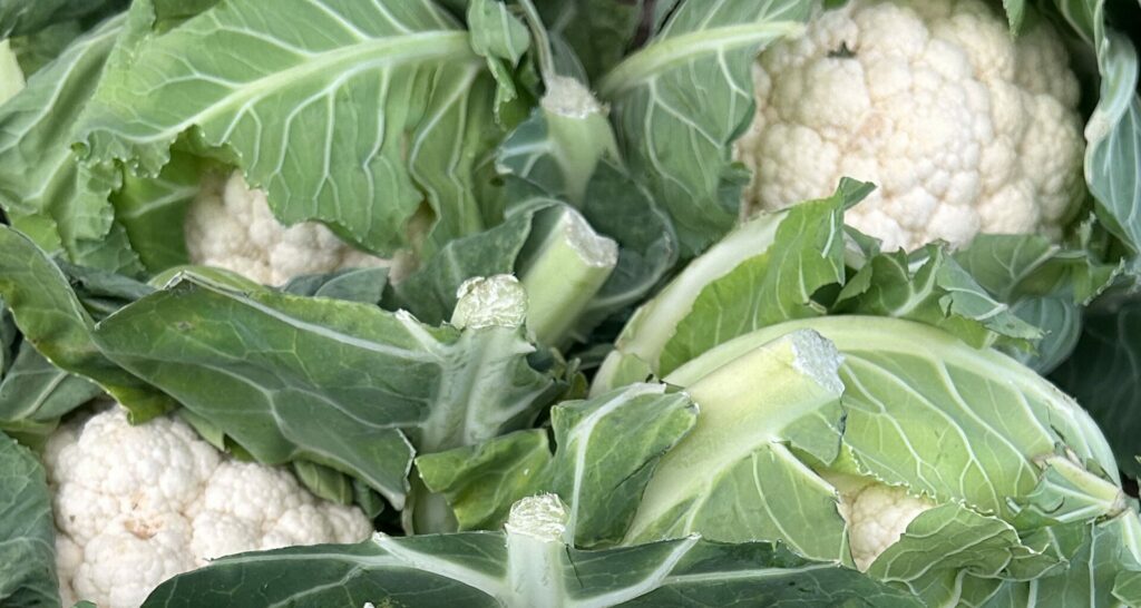 chou-fleur-marche-les-legumes-du-chateau-gaillon